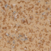 Линолеум коммерческий гетерогенный Tarkett Acczent Pro Mineral 100011 2 мм 2 м