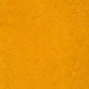 Линолеум натуральный Forbo Marmoleum Real Golden Sunset 3125 2 мм 2х32 м